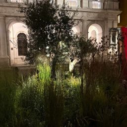 impianto-dilluminazione-al-landscape-festival-2025-03