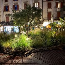 impianto-dilluminazione-al-landscape-festival-2025-12