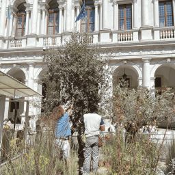 impianto-dilluminazione-al-landscape-festival-2025-13